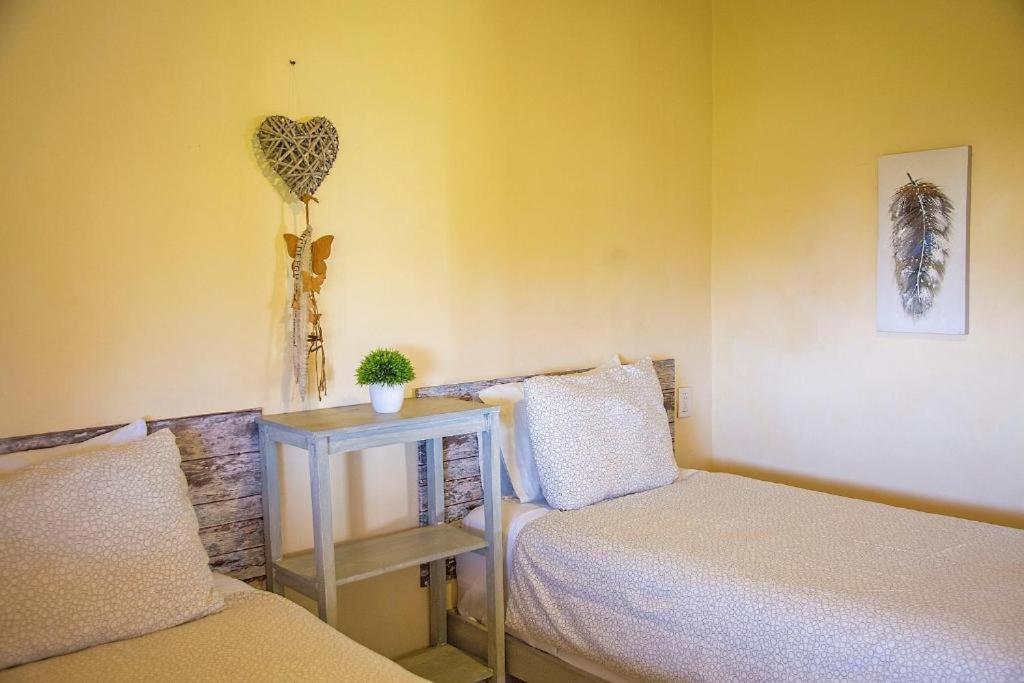 Holbox Deluxe Apartments Dış mekan fotoğraf